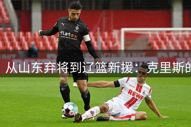 从山东弃将到辽篮新援：克里斯的救赎之门，赵继伟是关键钥匙