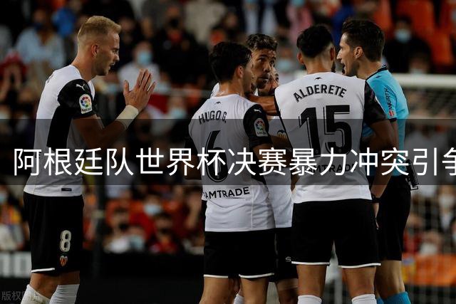 阿根廷队世界杯决赛暴力冲突引争议 梅西谢幕战陷舆论风暴